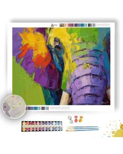 CALM EXPRESSION - Paint by Numbers Full Kit