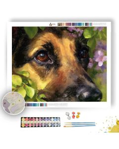 SOFT VIEW - Paint by Numbers Full Kit
