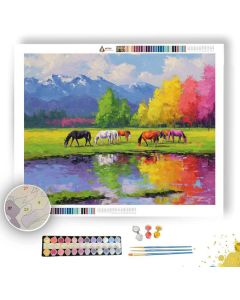 VIVID FIELD - Paint by Numbers Full Kit