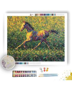 SUNLIT SPACE - Paint by Numbers Full Kit