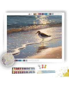 SUNBANK SANDPIPER - Paint by Numbers Full Kit