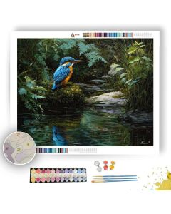 AURELION KINGFISHER - Paint by Numbers Full Kit