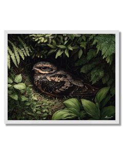 FERNVEIL NIGHTJAR - FRAMED