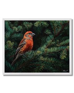 PINECROWN CROSSBILL - FRAMED