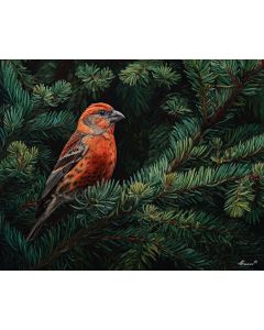 PINECROWN CROSSBILL