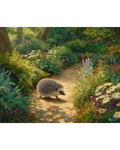 HEDGEHOG MORNING PATH