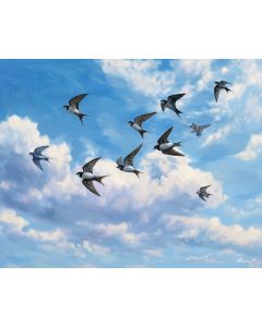SKYARC SWALLOW