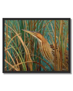 MARSHREED BITTERN - FRAMED