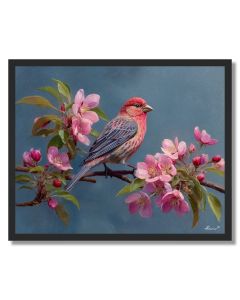 BLOSSOMFINCH PERCH - FRAMED