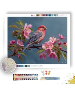 BLOSSOMFINCH PERCH - Paint by Numbers Full Kit