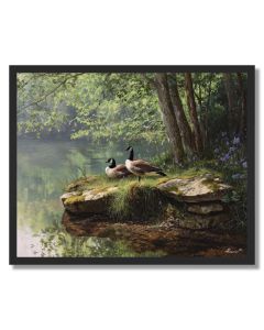 GOOSE POND REST - FRAMED