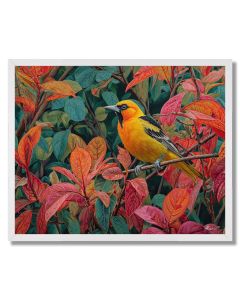 GOLDENWING ORIOLE - FRAMED