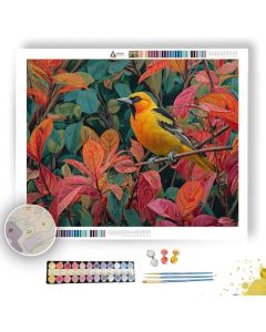GOLDENWING ORIOLE - Paint by Numbers Full Kit