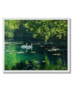 SWANPAIR SPRINGWATER - FRAMED
