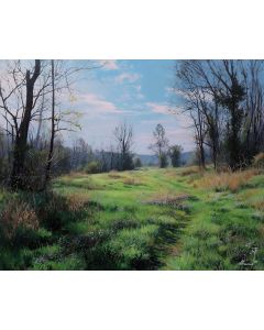 MEADOW AWAKENING