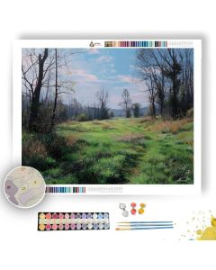 MEADOW AWAKENING - Paint by Numbers Full Kit