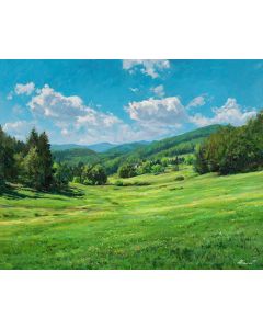 CLEARSKY MEADOWTURN