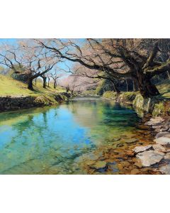 SOFTBANK RIVERREST