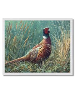 TALLGRASS PHEASANT - FRAMED