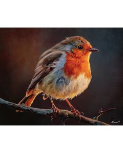 EMBERCREST ROBIN