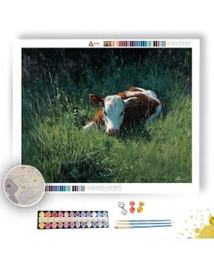CALF GREEN PASTURE - Paint by Numbers Full Kit