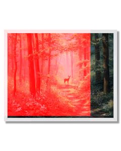 DEERPATH SILENCE - FRAMED