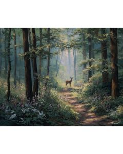 DEERPATH SILENCE