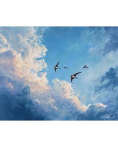 AURASKY SWALLOW
