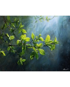 LEAFMORNING STILLNESS