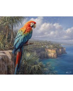 PALMCOAST MACAW