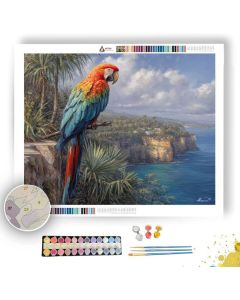 PALMCOAST MACAW - Paint by Numbers Full Kit