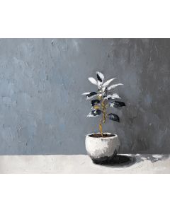 BUILT SCENE