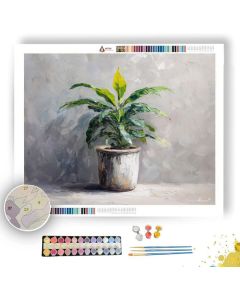 CLEAR FIELD - Paint by Numbers Full Kit