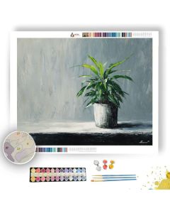 CALM ARRANGEMENT - Paint by Numbers Full Kit