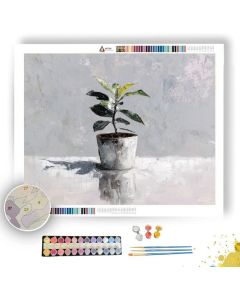 ORDERED FLOW B&W - Paint by Numbers Full Kit