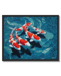 WILD BALANCE - FRAMED