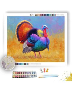 SOFT FLOW - Paint by Numbers Full Kit