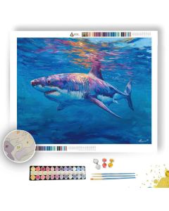 HIDDEN BALANCE - Paint by Numbers Full Kit