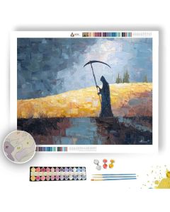 SHADOW BALANCE - Paint by Numbers Full Kit