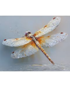 GLASS WINGS IN MORNING FOG