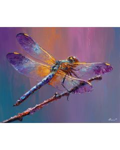 IRIDESCENT STILLNESS