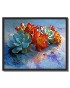 SUCCULENTS ON MARBLE - FRAMED