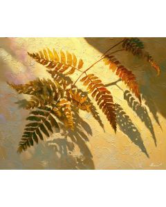 FERN SHADOW BALLET
