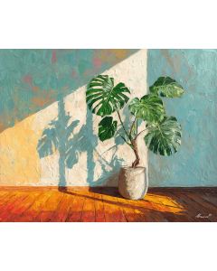 SUNLIT MONSTERA STUDIO
