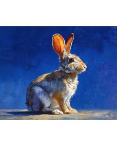 BUNNY ON COBALT BACKDROP