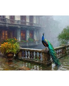 AFTER THE TERRACE RAIN