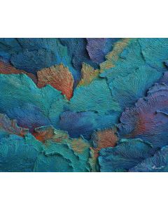 CORAL REEF THREADS