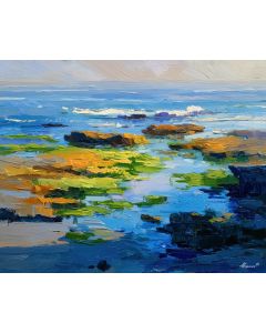 SUNLIT HOUR