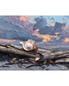 SHELL BESIDE DRIFTWOOD