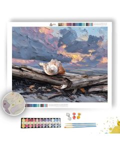 SHELL BESIDE DRIFTWOOD - Paint by Numbers Full Kit